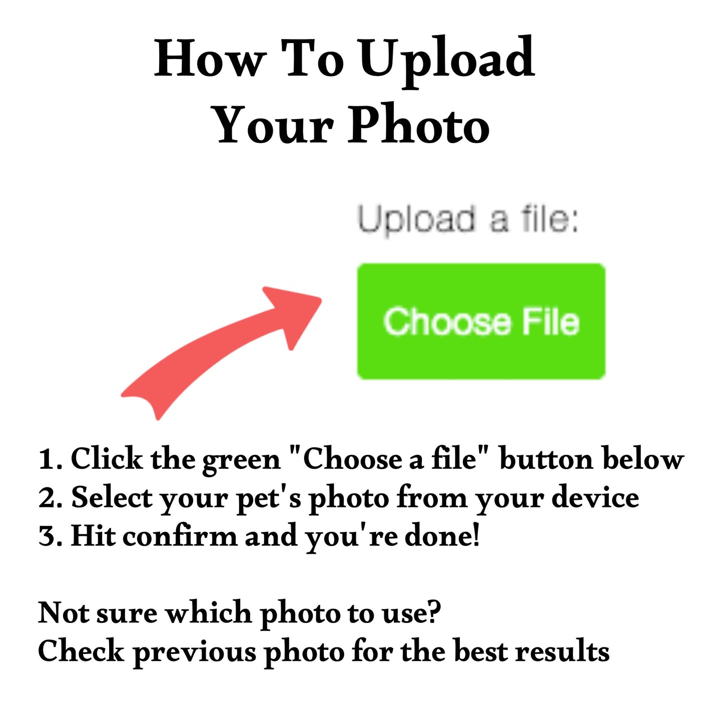 Instructions for uploading a pet photo with a "Choose File" button.