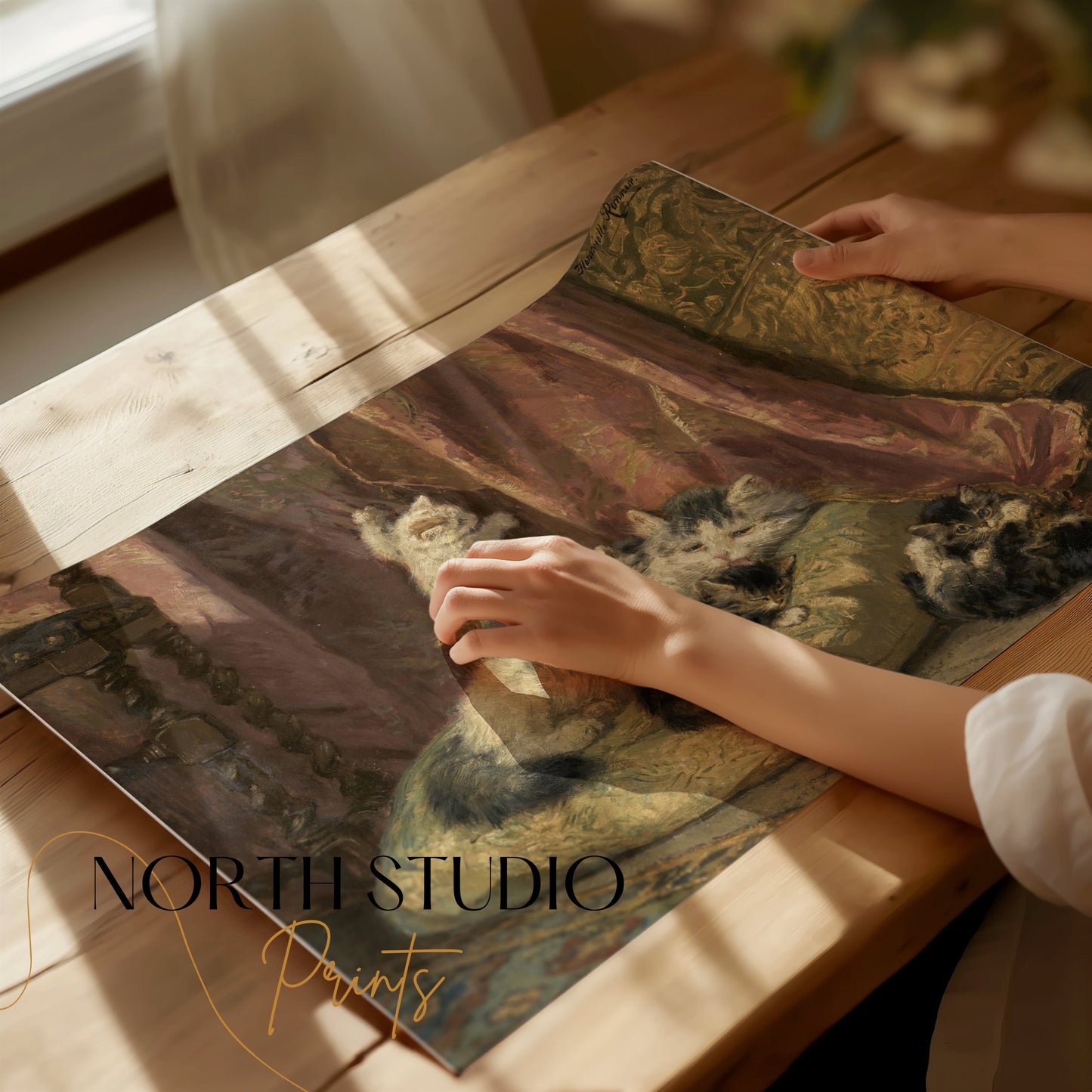 Premium Poster of A Group of Lovely Cats Resting and Playing Posters