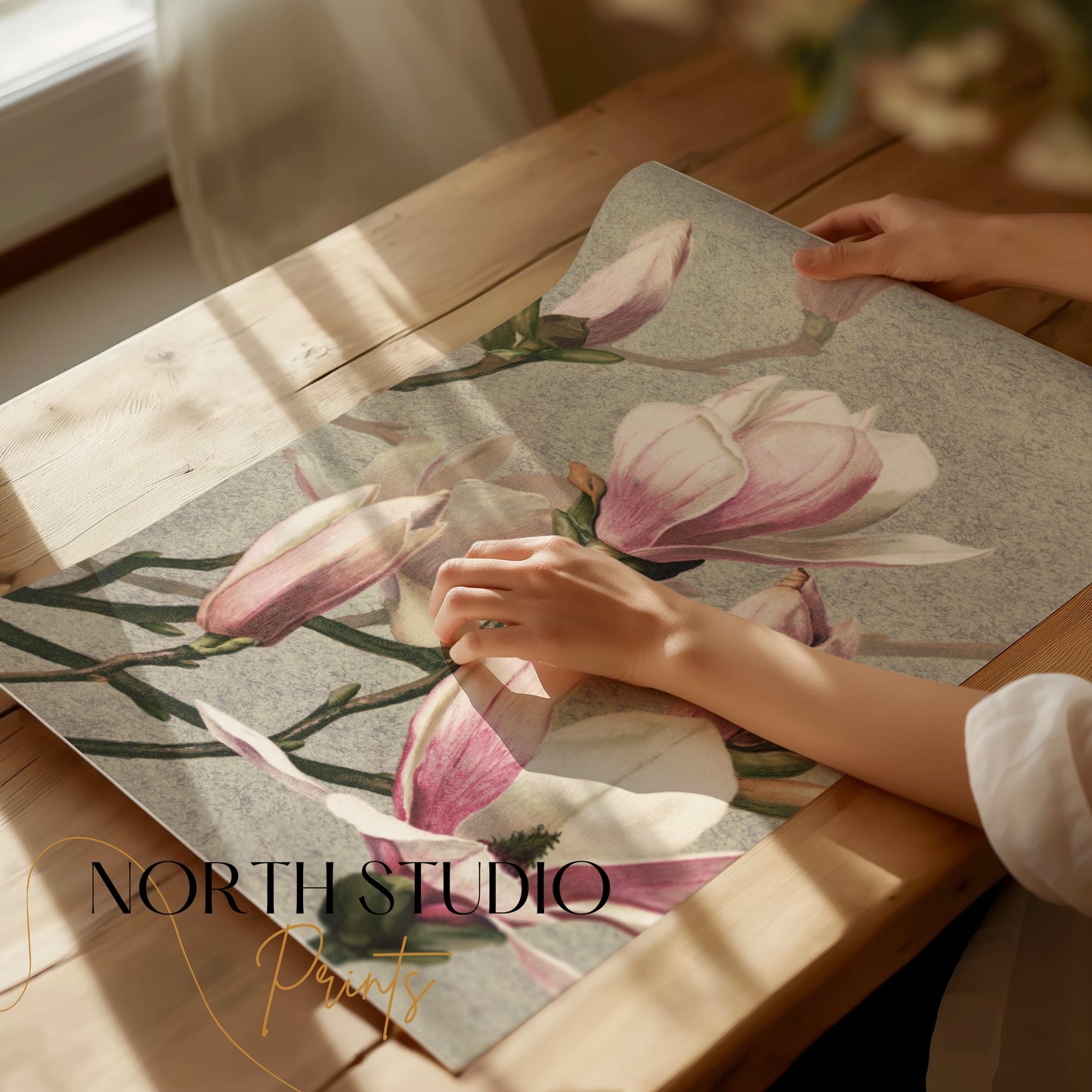 Premium Poster of Beautiful Blossoming Pink Magnolia Flower Posters