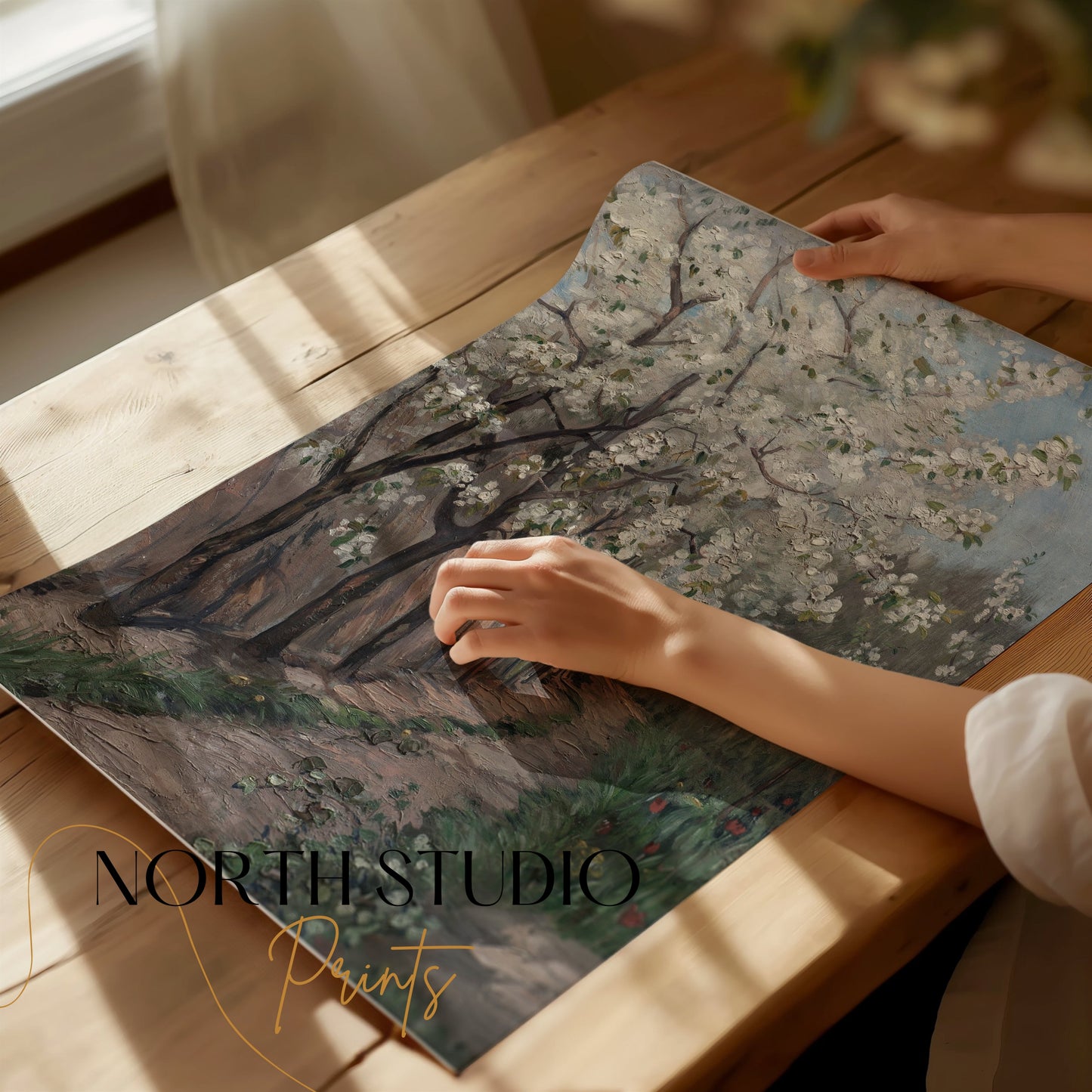 Premium Poster of Beautiful Blossoming Trees Along Pathway Art Posters
