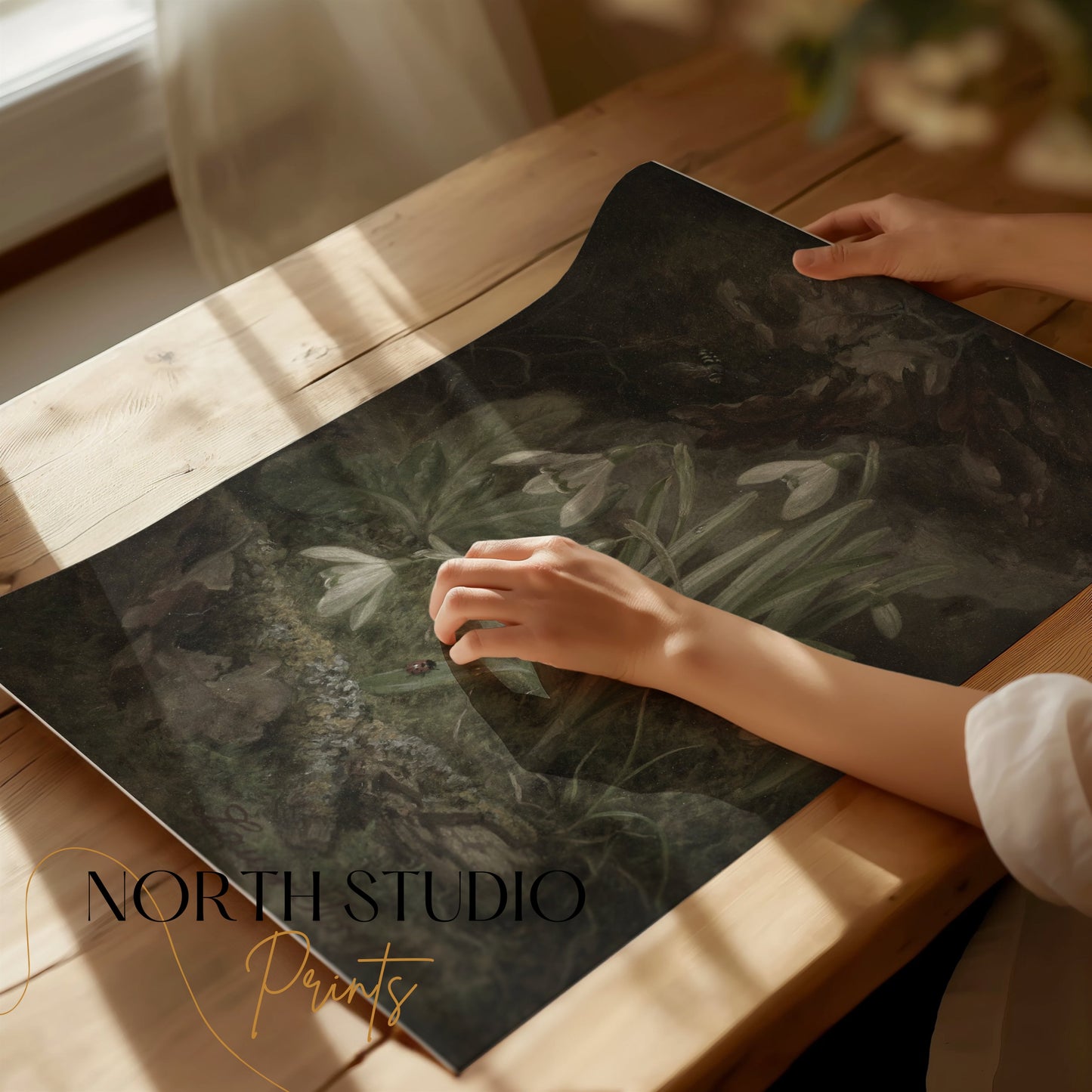 Premium Poster of Beautiful Botanical Illustration of Snowdrops Posters