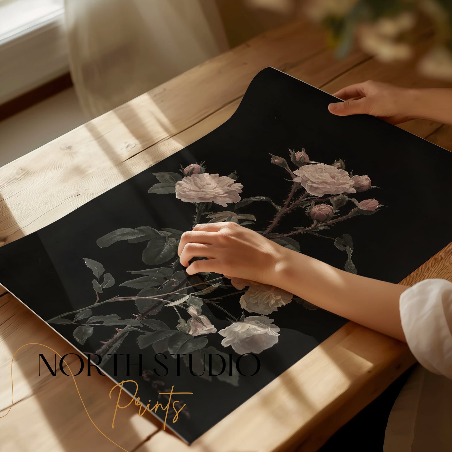 Premium Poster of Beautiful Pink and White Roses on Black Background Posters