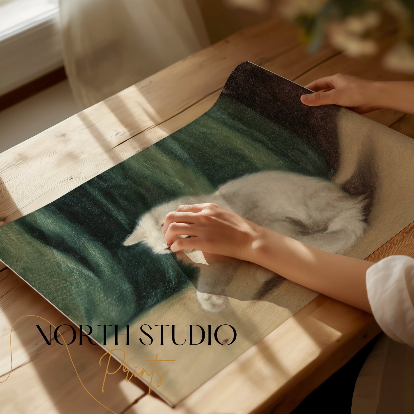 Premium Poster of Charming White Cat Playing with a Ladybird Posters
