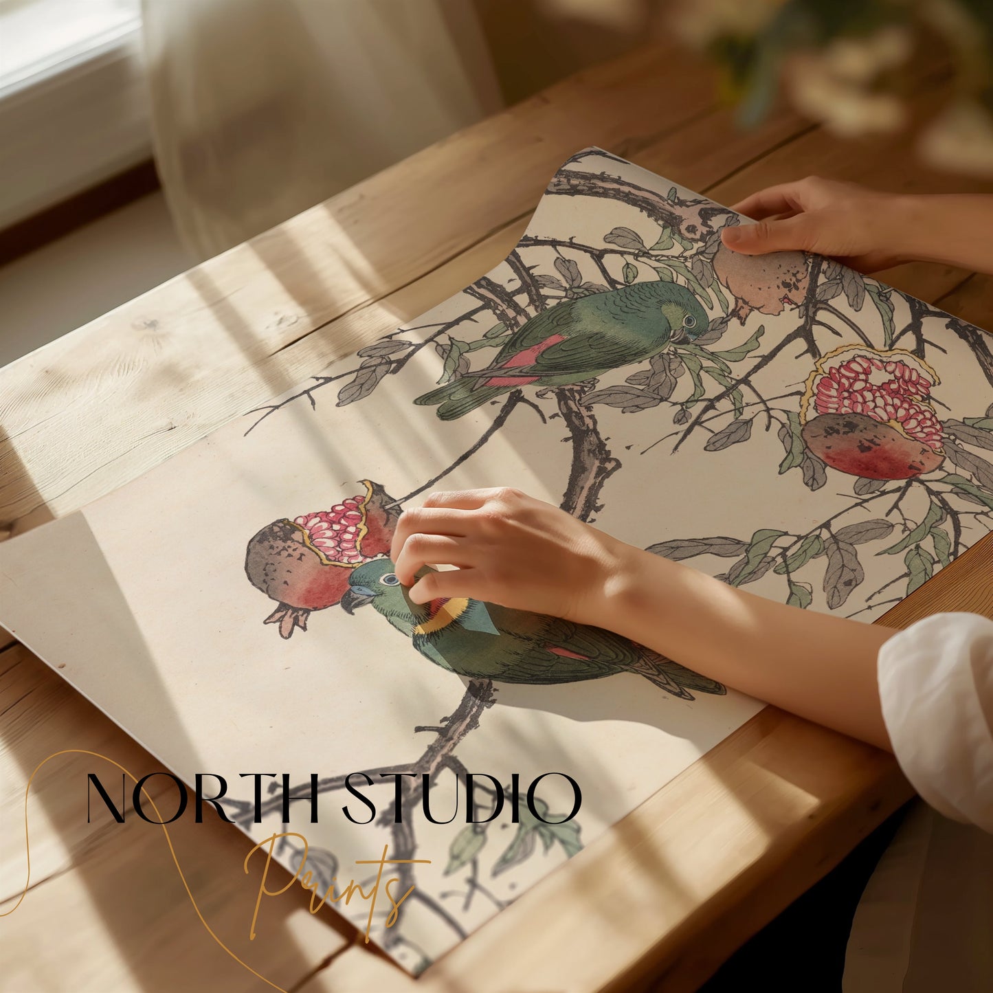 Premium Poster of Colorful Birds on Tree Branch with Pomegranates Posters