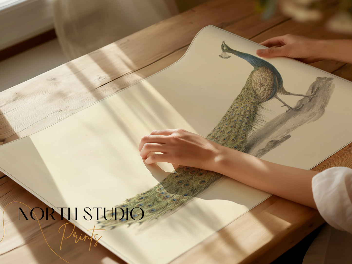Premium Poster of Elegant Peacock Illustration Japanese Art Posters