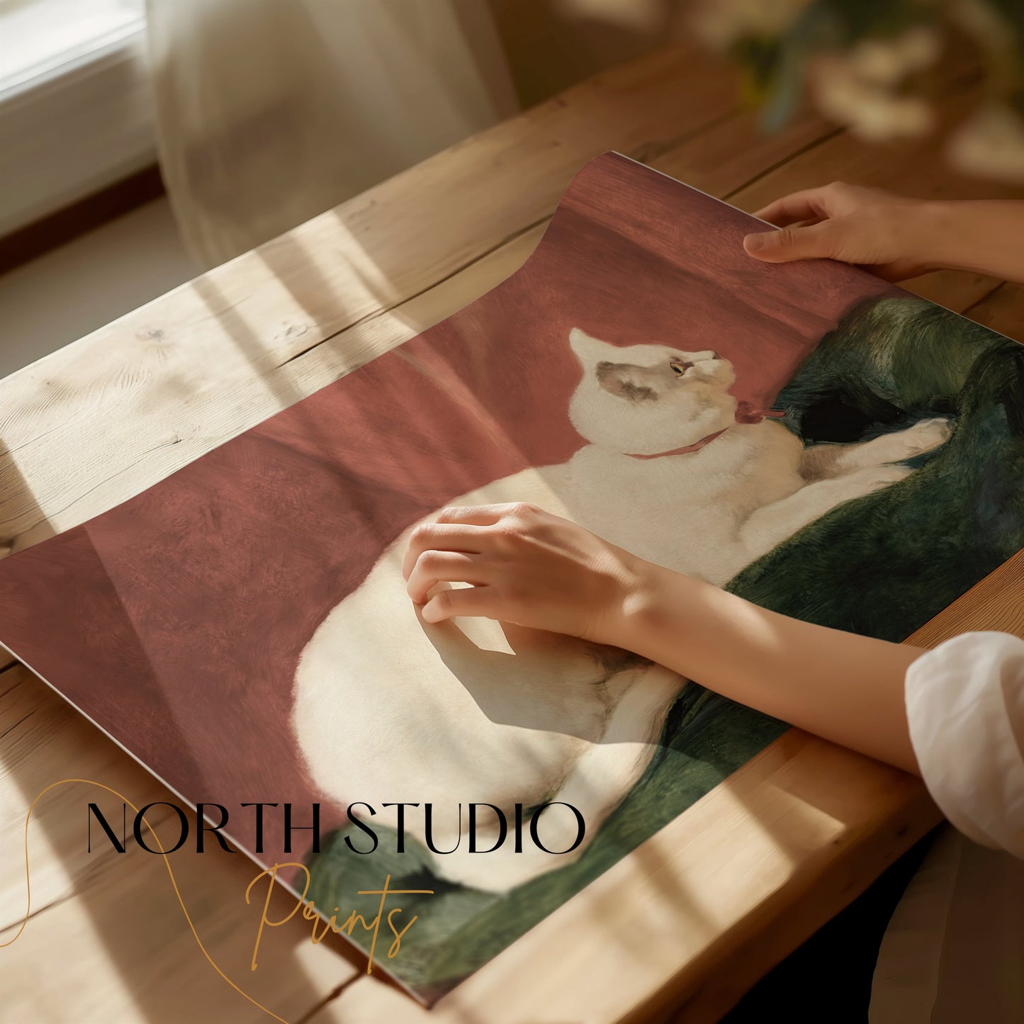 Premium Poster of Elegant White Cat Lying on Cushion Artwork Posters