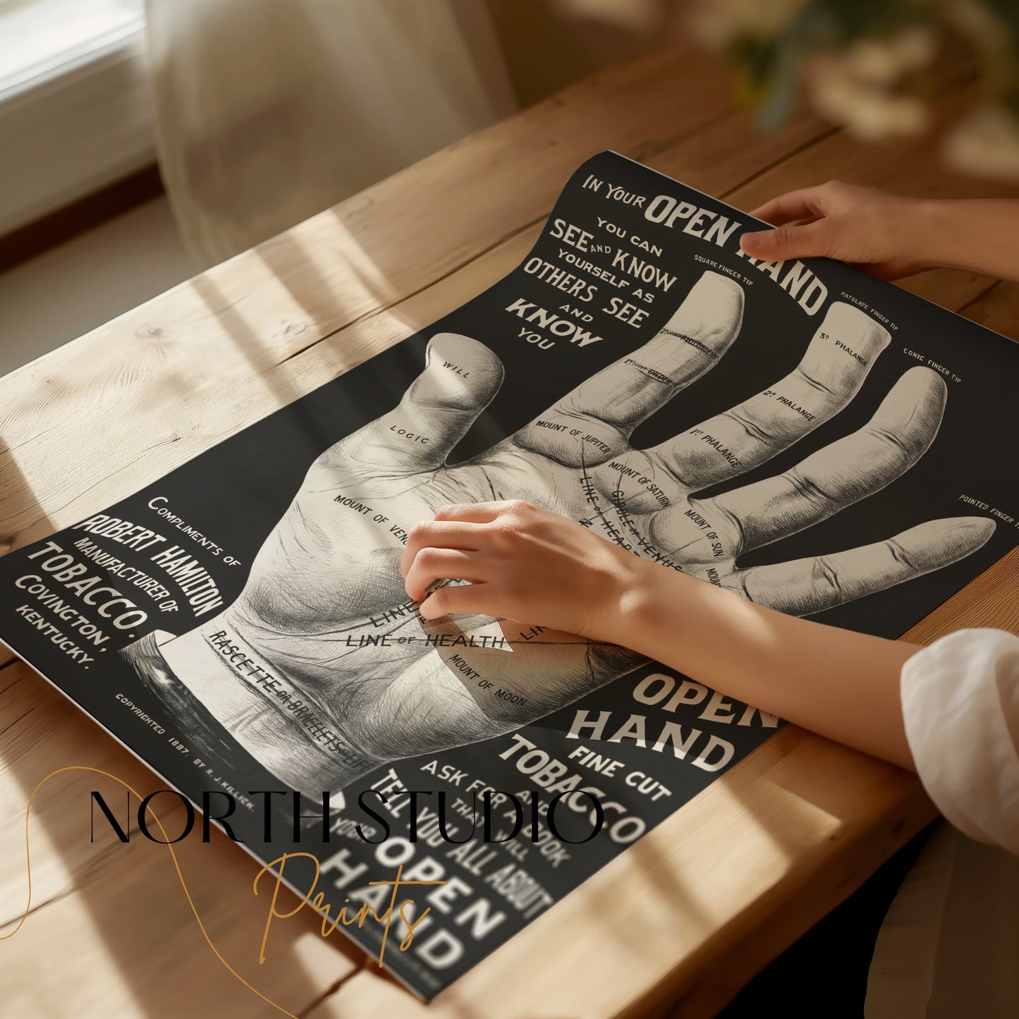 Premium Poster of Open Hand Diagram with Palm Reading Guide Posters