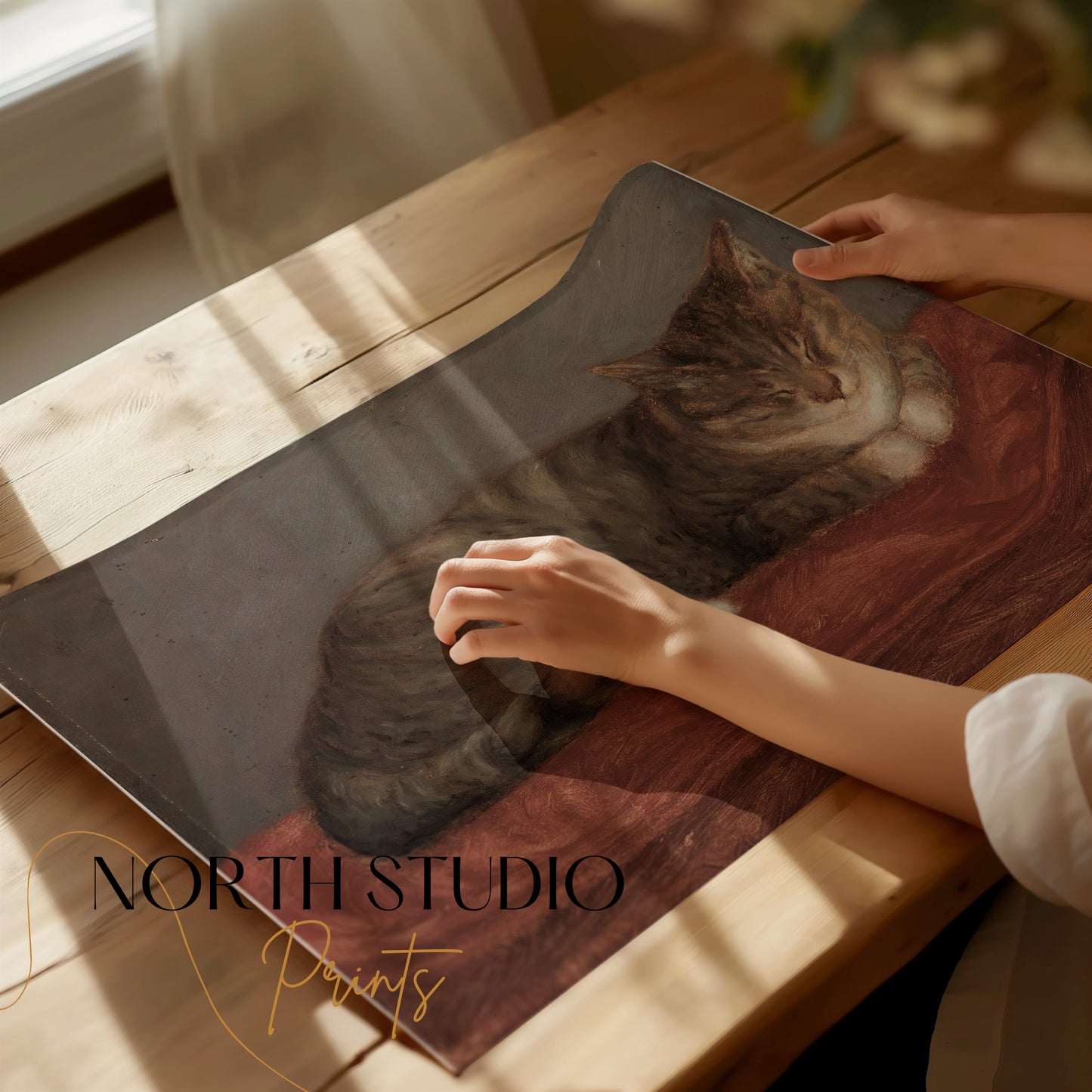 Premium Poster of Peaceful Sleeping Cat on Red Blanket Posters