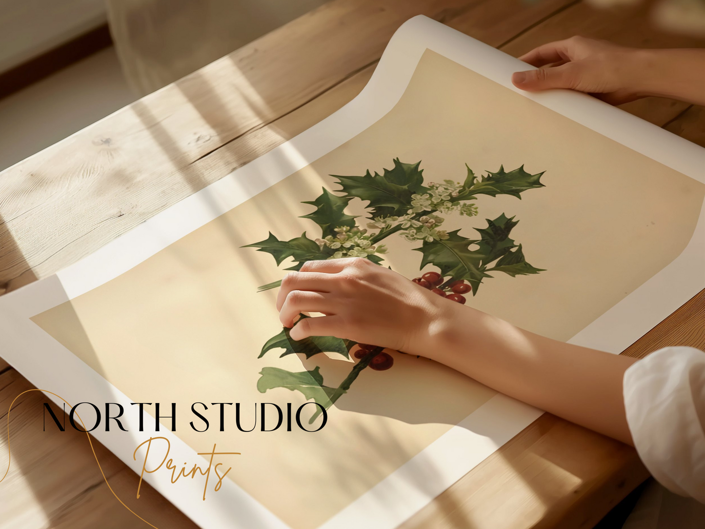 Premium Poster of Vintage Botanical Holly Berries and Leaves Art Posters