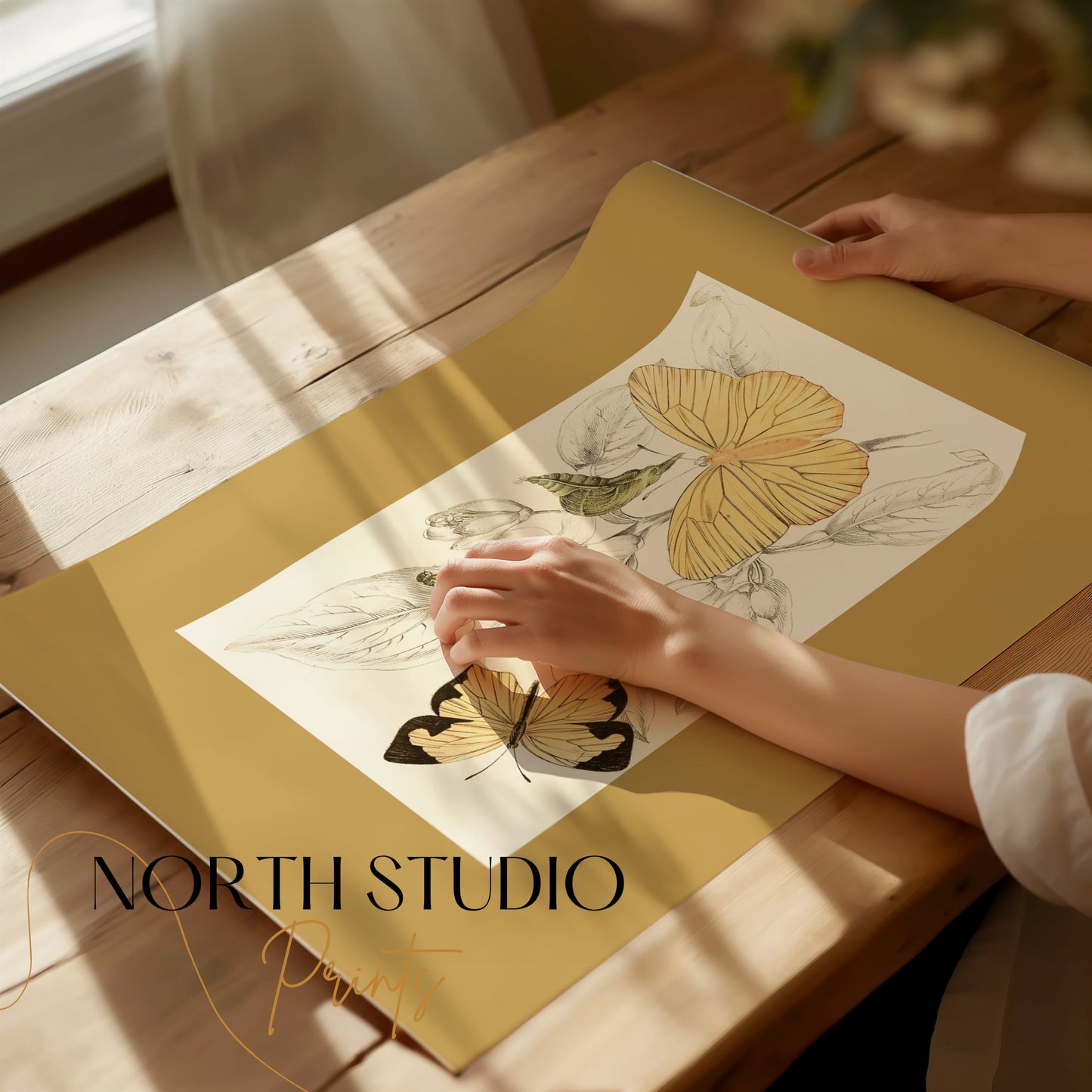 Premium Poster of Yellow and Black Butterfly Illustration Art Posters