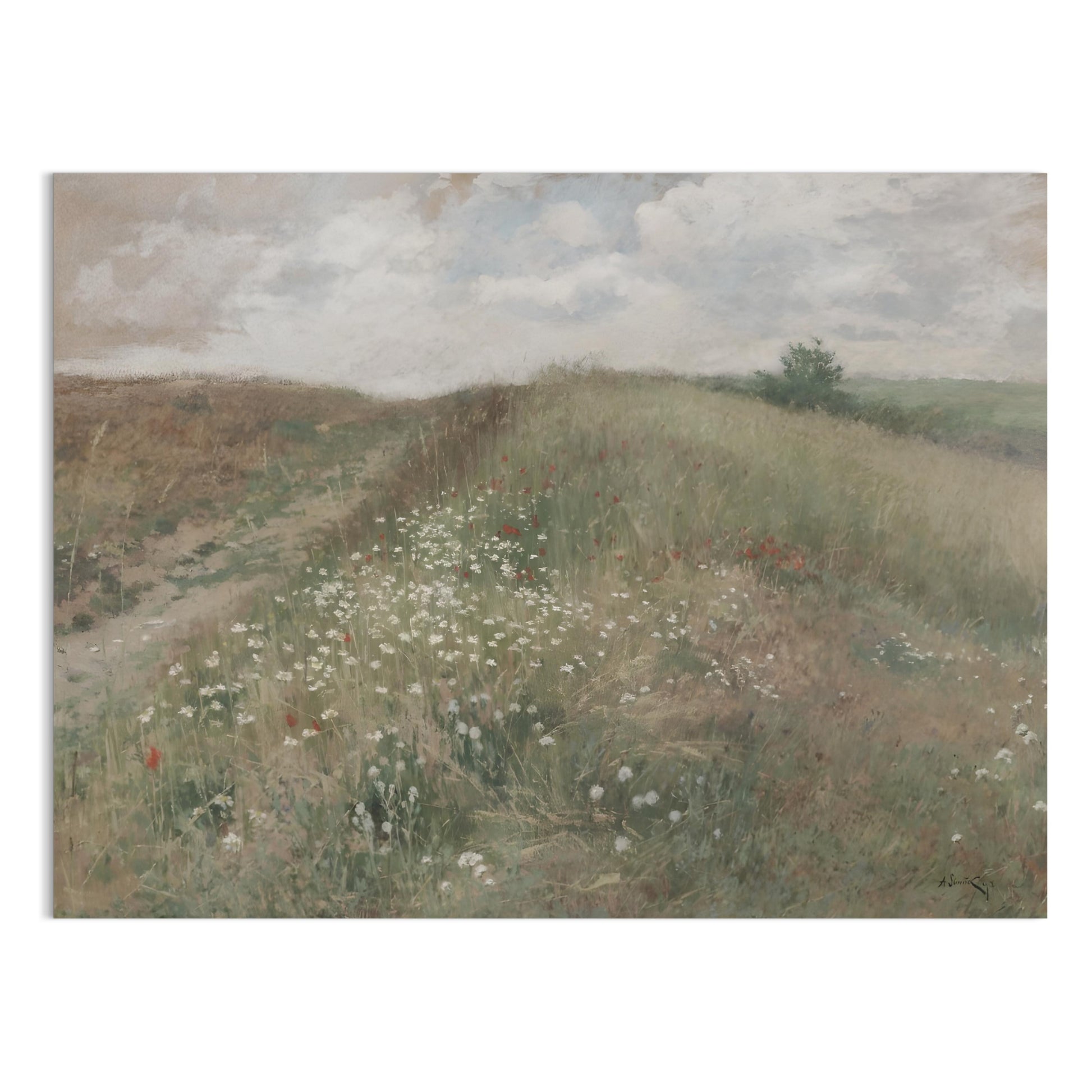 Premium Poster of Serene Countryside Landscape With Wildflowers Posters