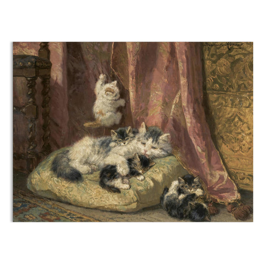 Premium Poster of A Group of Lovely Cats Resting and Playing Posters