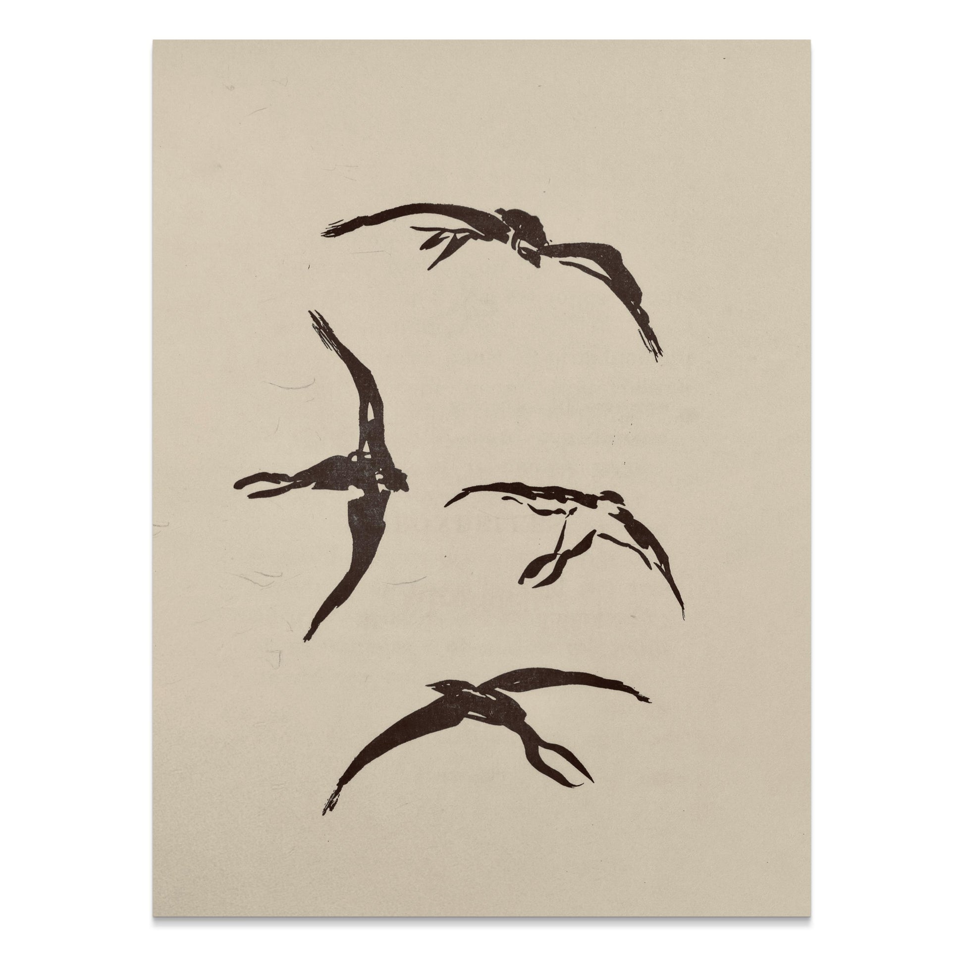 Premium Poster of Abstract Bird Shapes Wall Art Decorative Posters