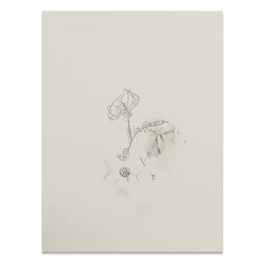 Premium Poster of Abstract Minimalist Plant Drawing Art Print Posters