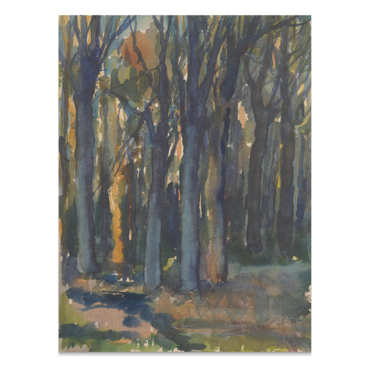 Premium Poster of Abstract Woodland Forest Sunlight Landscape Posters