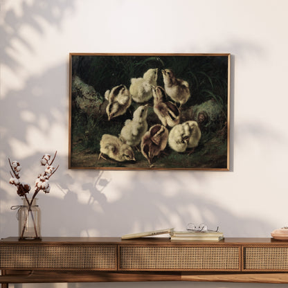 Premium Poster of Adorable Baby Chicks Gathered in Nature Posters