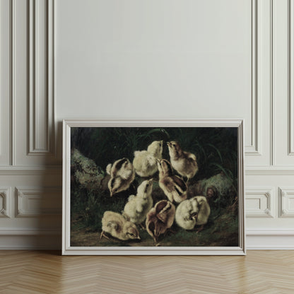 Premium Poster of Adorable Baby Chicks Gathered in Nature Posters