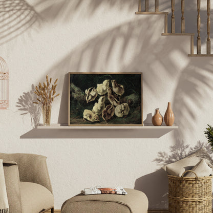 Premium Poster of Adorable Baby Chicks Gathered in Nature Posters