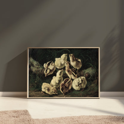 Premium Poster of Adorable Baby Chicks Gathered in Nature Posters