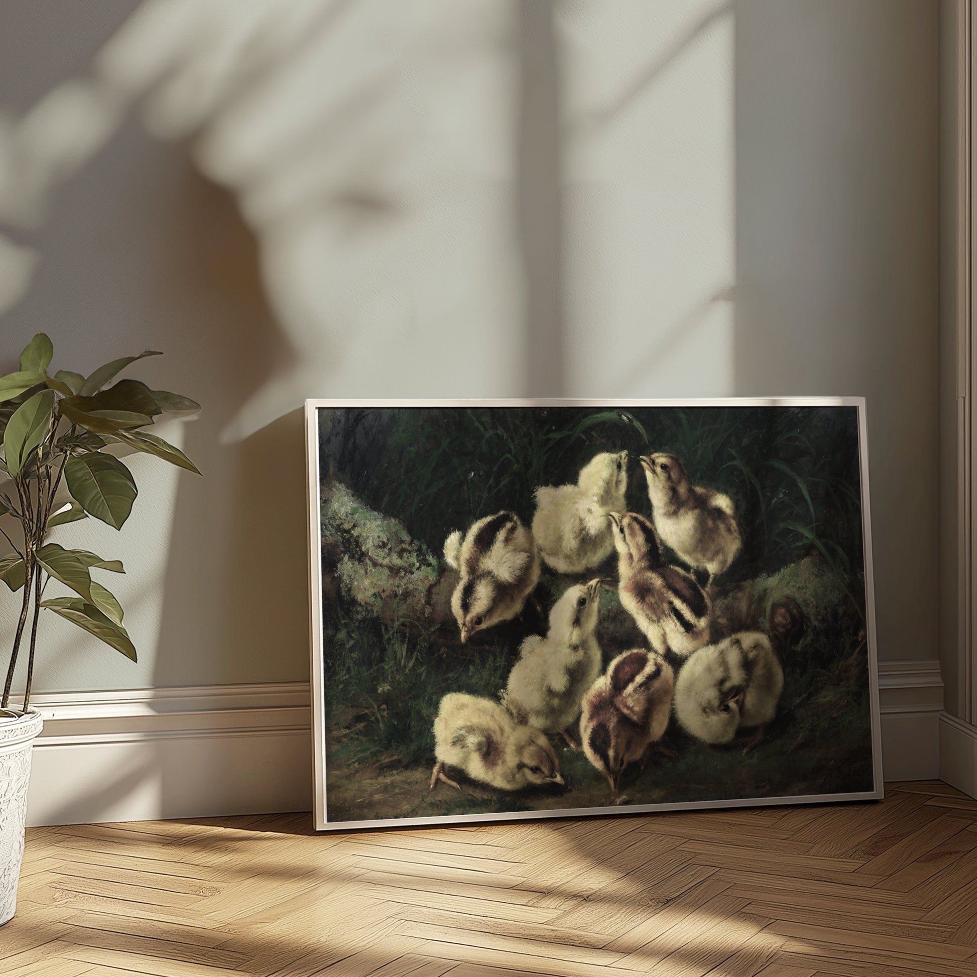 Premium Poster of Adorable Baby Chicks Gathered in Nature Posters