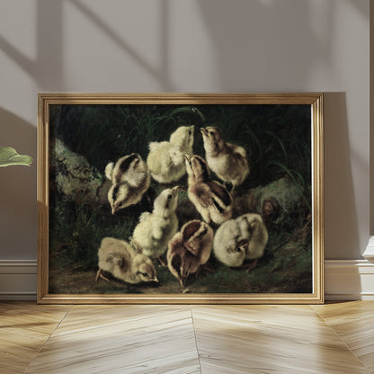Premium Poster of Adorable Baby Chicks Gathered in Nature Posters