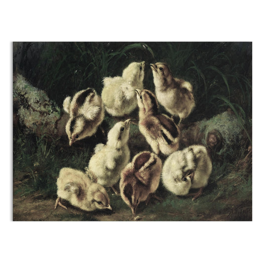 Premium Poster of Adorable Baby Chicks Gathered in Nature Posters