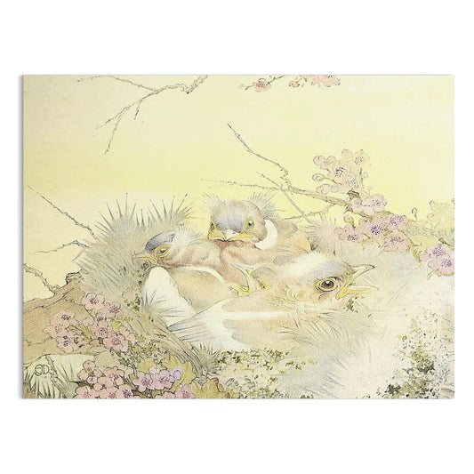 Premium Poster of Adorable Chicks in Nest with Floral Background Posters