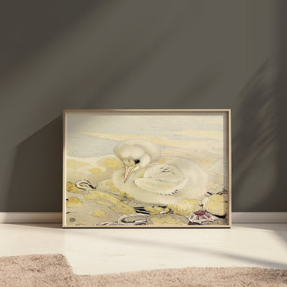 Premium Poster of Adorable Fluffy White Bird Illustration Art Posters