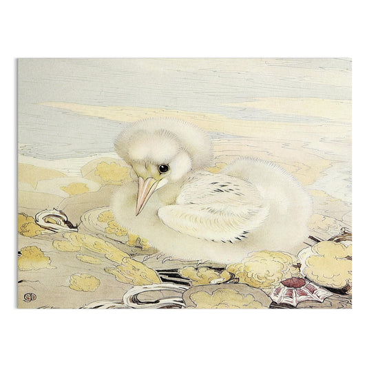 Premium Poster of Adorable Fluffy White Bird Illustration Art Posters