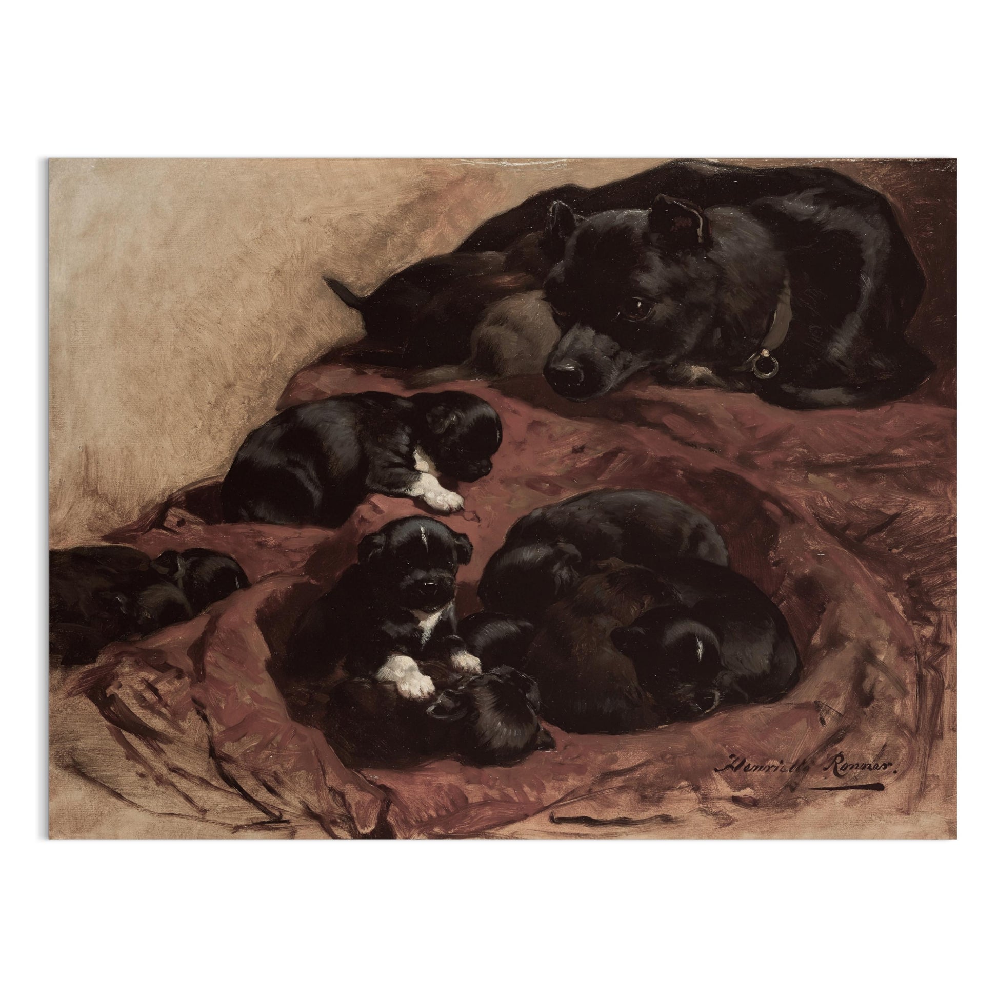 Premium Poster of Adorable Puppies Resting with Mother Dog Art Decor Posters