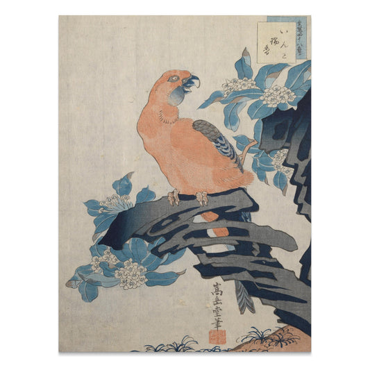 Premium Poster of Antique Japanese Parrot Art Print Wall Decor Posters