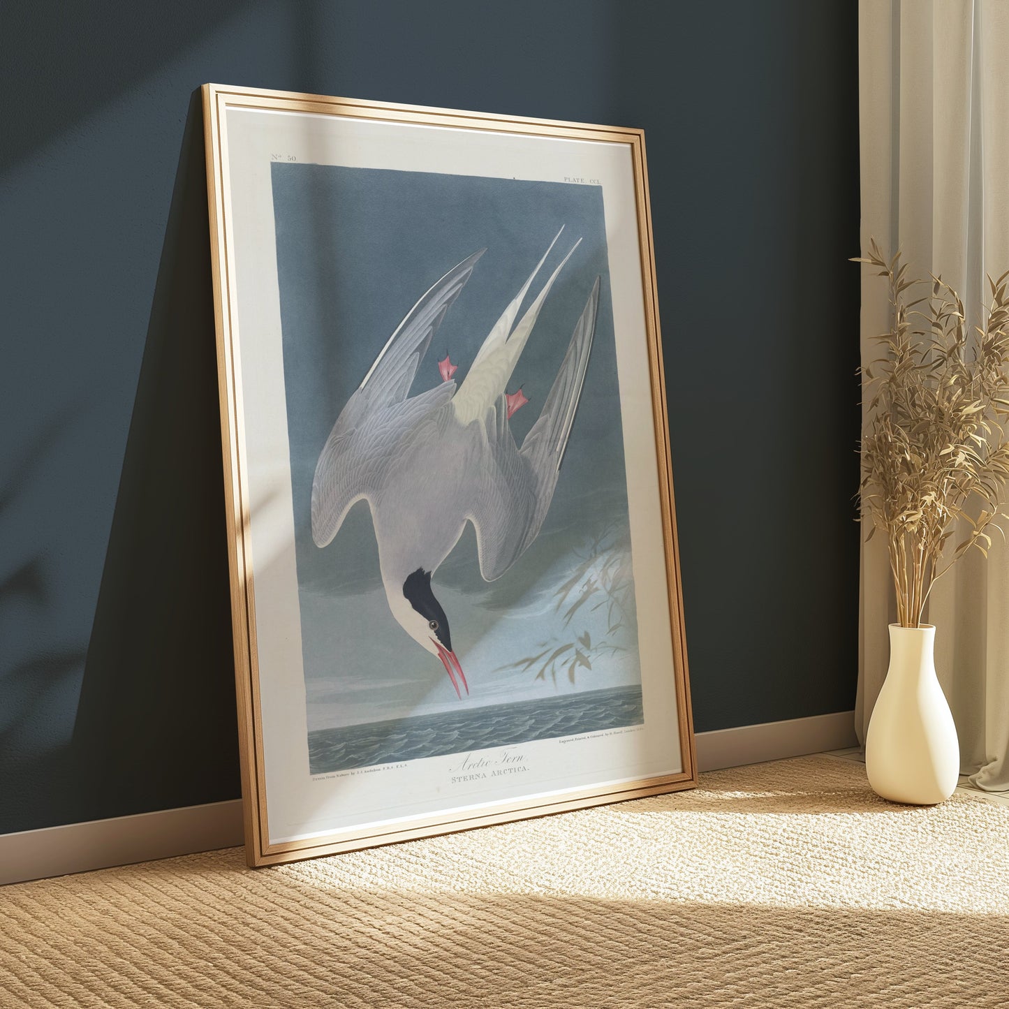 Premium Poster of Arctic Tern Sterna Paradisaea Vintage Style Art Posters