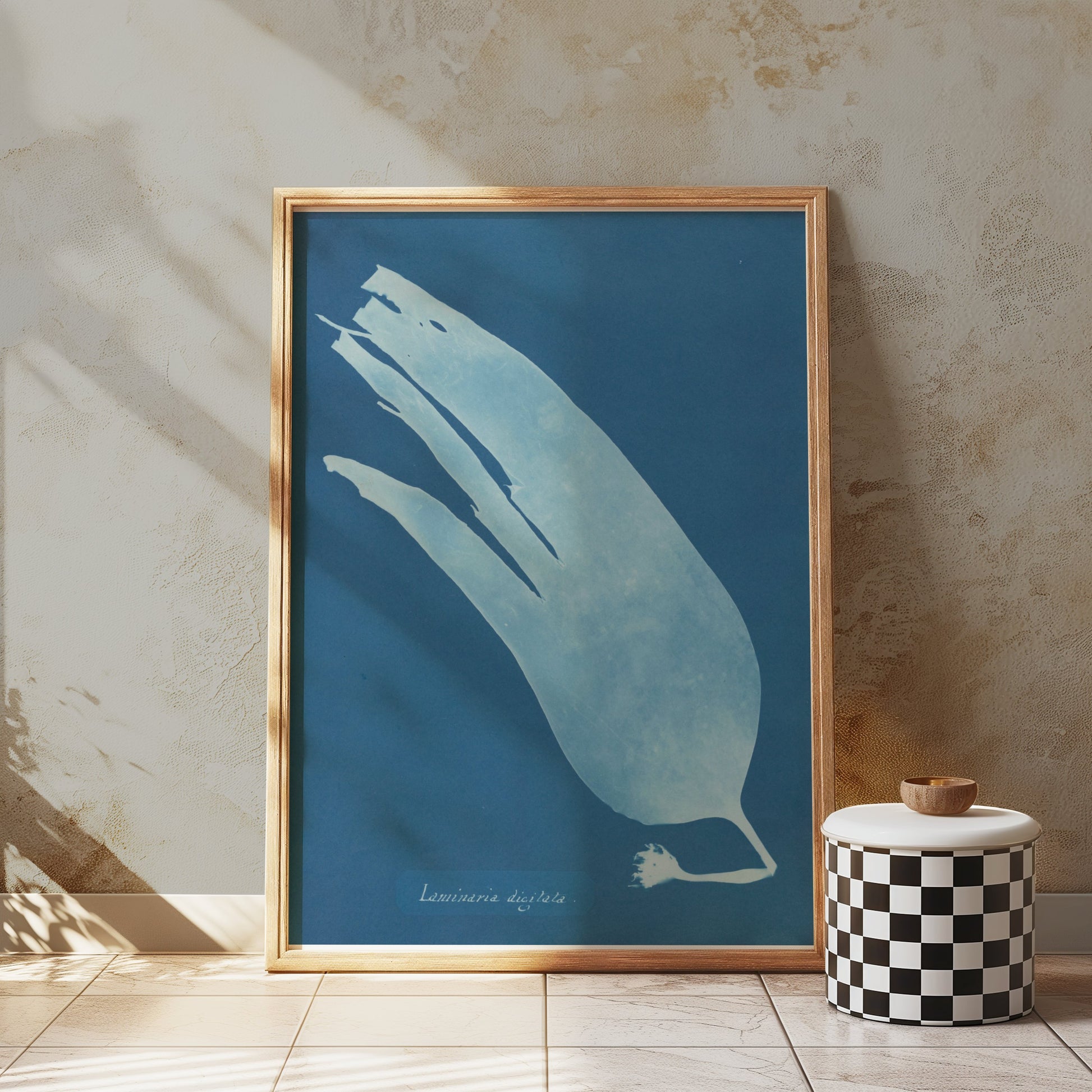 Premium Poster of Artistic Botanical Cyanotype Prints Laminaria Posters