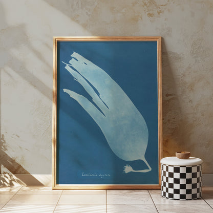 Premium Poster of Artistic Botanical Cyanotype Prints Laminaria Posters