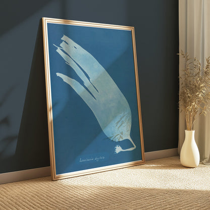 Premium Poster of Artistic Botanical Cyanotype Prints Laminaria Posters