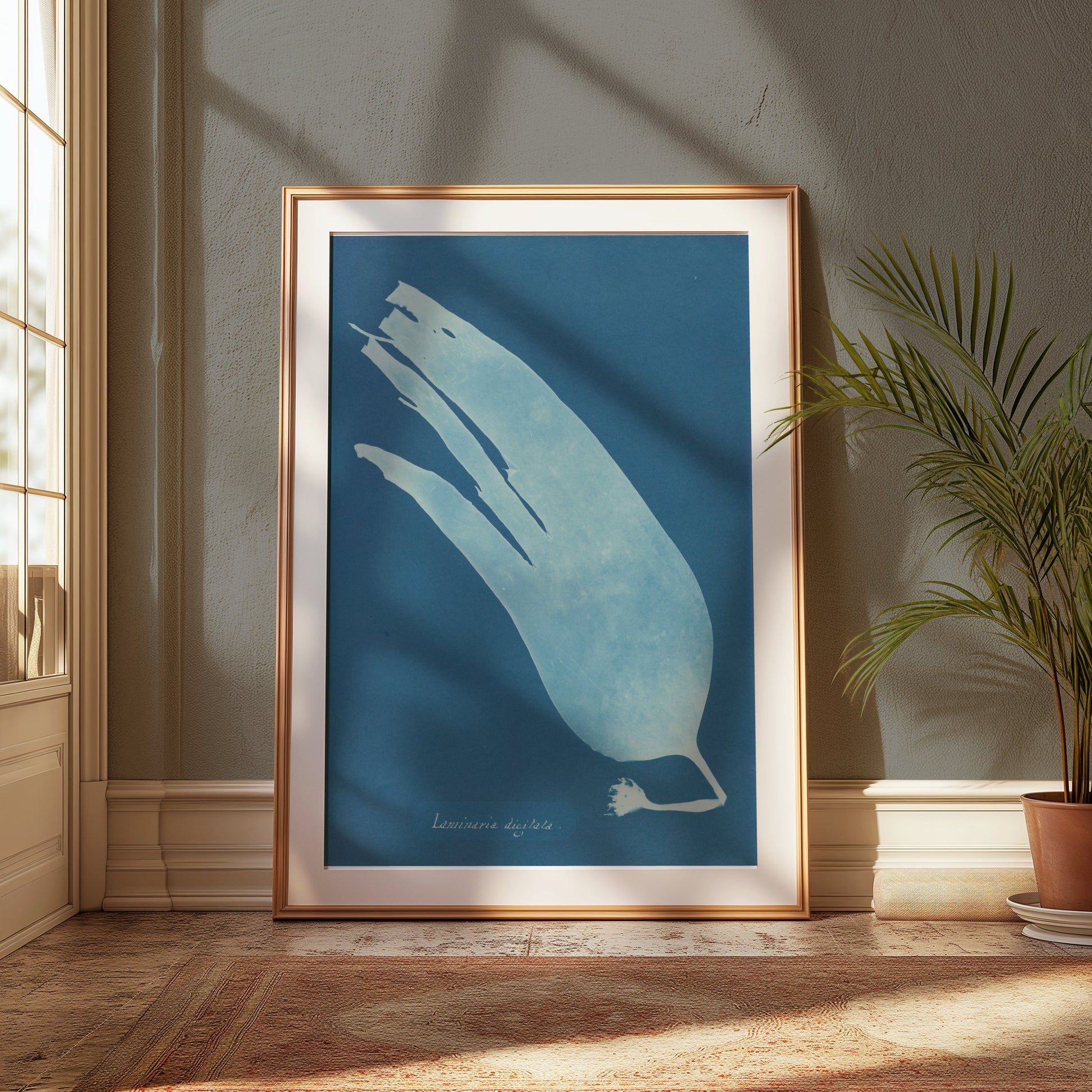 Premium Poster of Artistic Botanical Cyanotype Prints Laminaria Posters