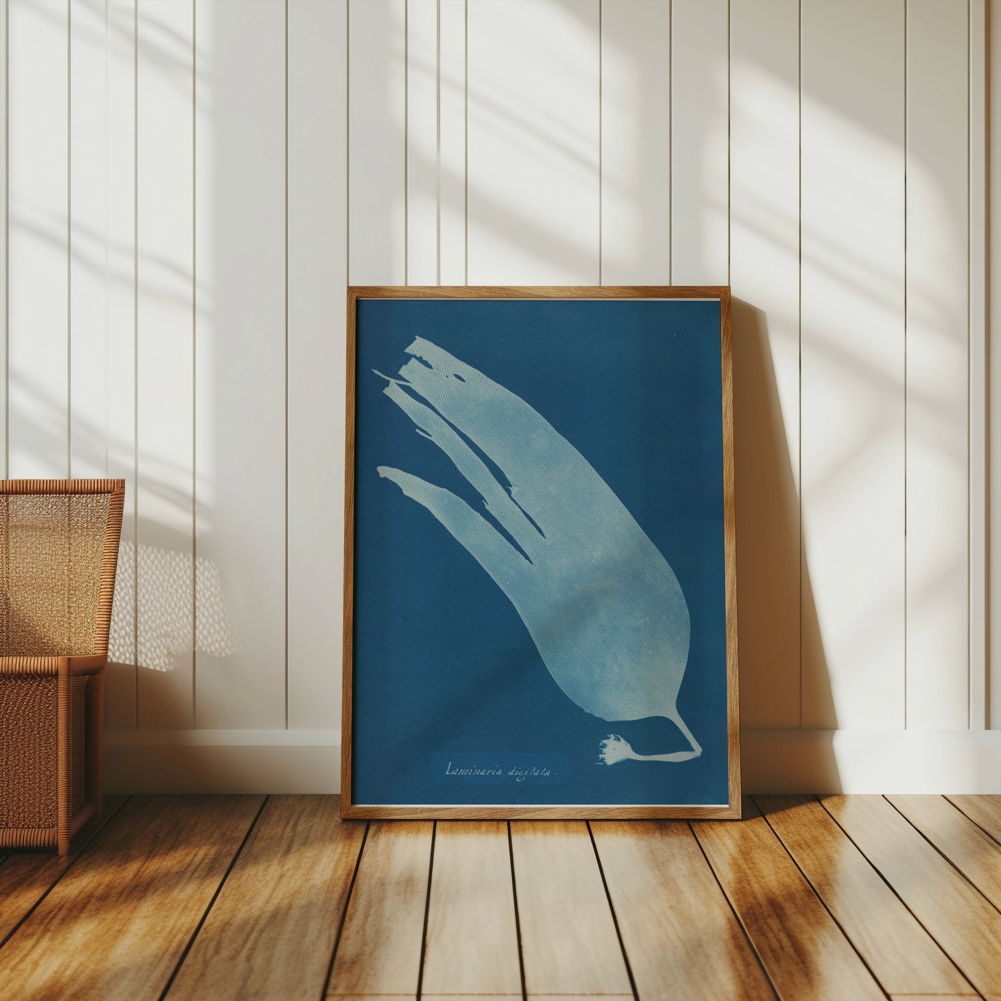 Premium Poster of Artistic Botanical Cyanotype Prints Laminaria Posters