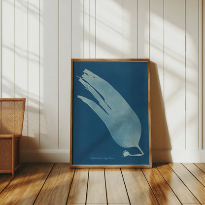 Premium Poster of Artistic Botanical Cyanotype Prints Laminaria Posters