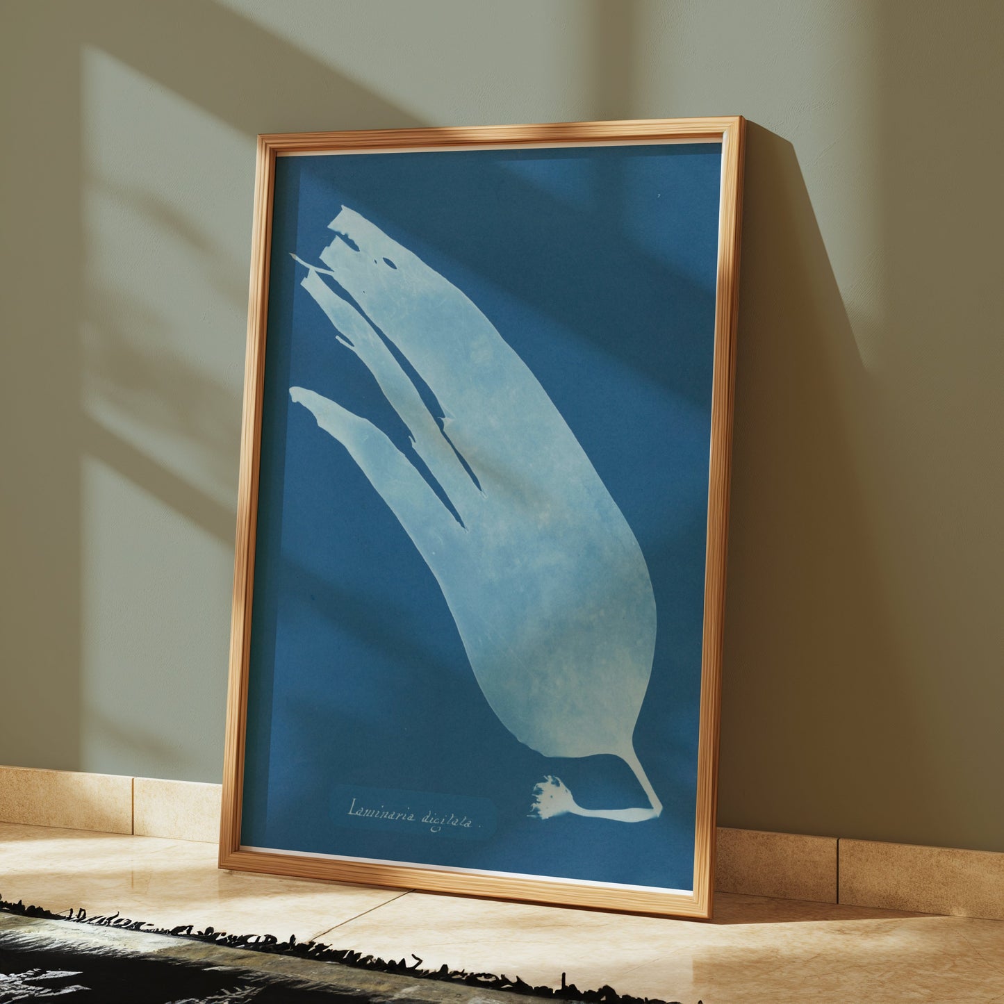 Premium Poster of Artistic Botanical Cyanotype Prints Laminaria Posters