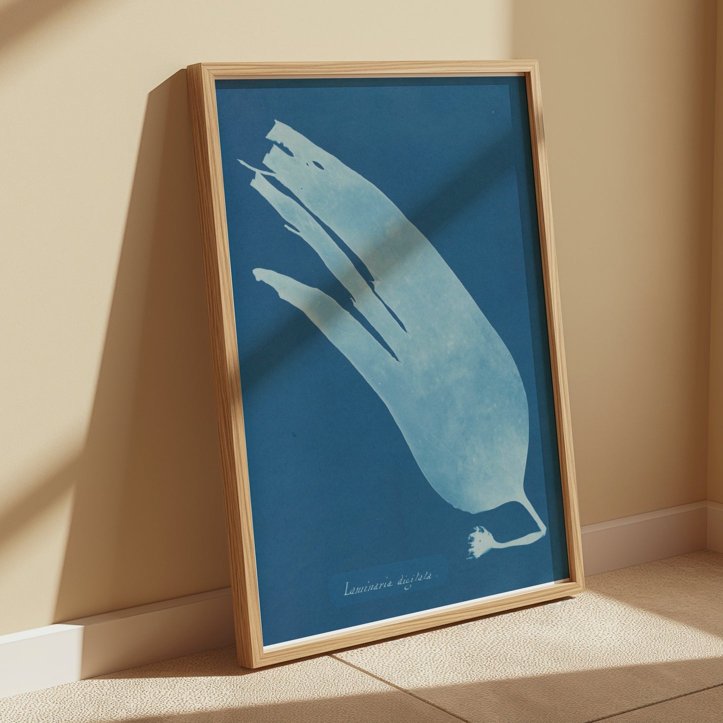 Premium Poster of Artistic Botanical Cyanotype Prints Laminaria Posters