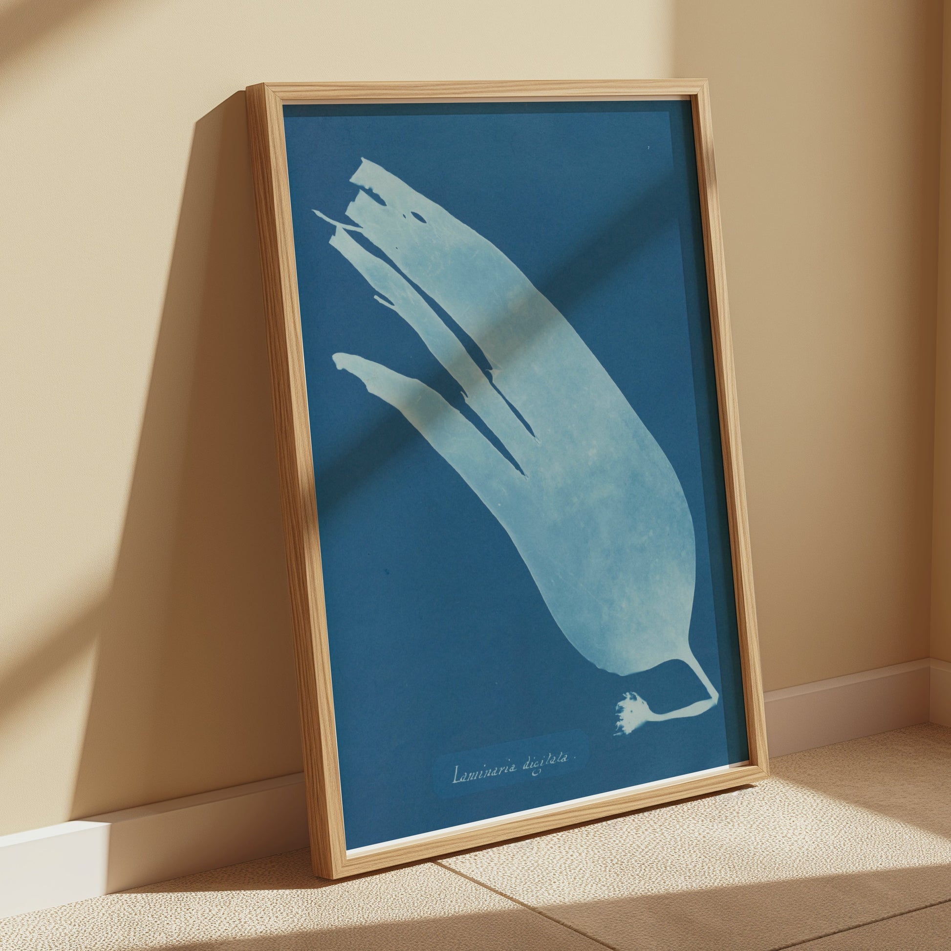 Premium Poster of Artistic Botanical Cyanotype Prints Laminaria Posters