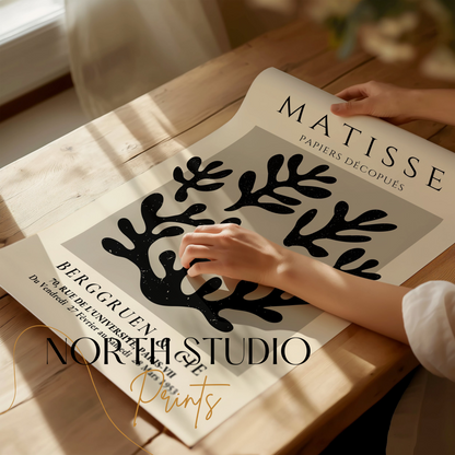 Premium Poster of Artistic Coral Silhouette Berggruen Exhibition Posters