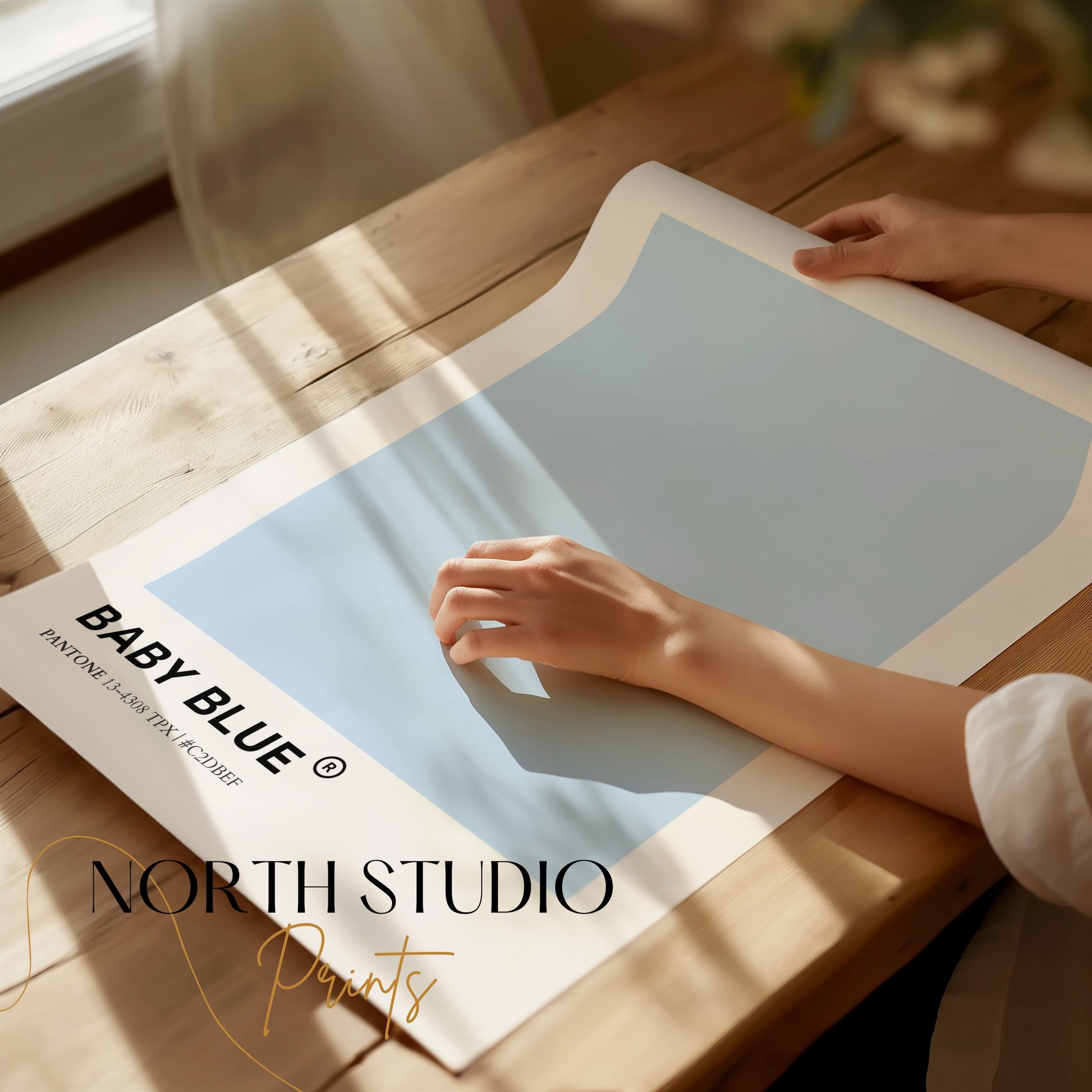 Premium Poster of Baby Blue Color Pantone 13-4308 TPX Hex C2DBEF Posters