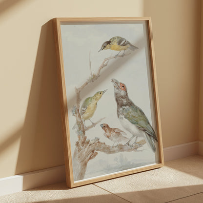 Premium Poster of Beautiful Artistic Birds on Branch Illustration Posters