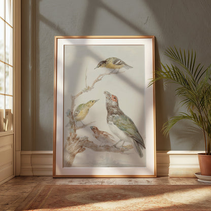 Premium Poster of Beautiful Artistic Birds on Branch Illustration Posters