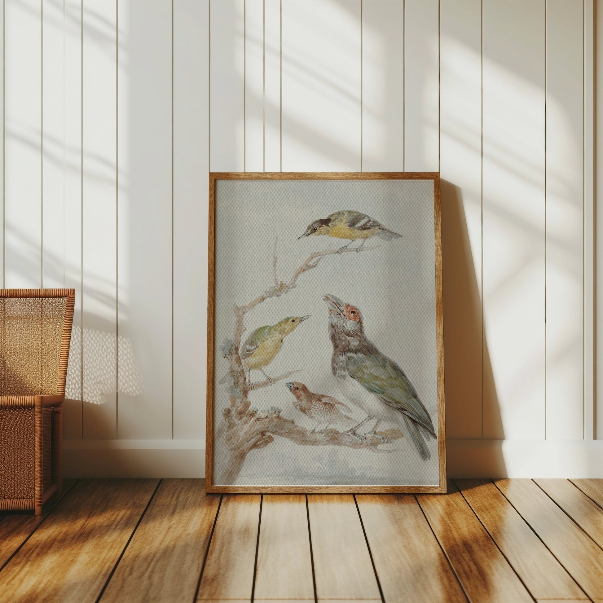 Premium Poster of Beautiful Artistic Birds on Branch Illustration Posters