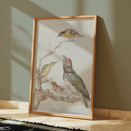 Premium Poster of Beautiful Artistic Birds on Branch Illustration Posters
