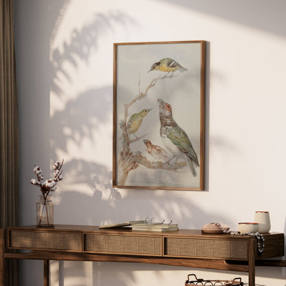 Premium Poster of Beautiful Artistic Birds on Branch Illustration Posters