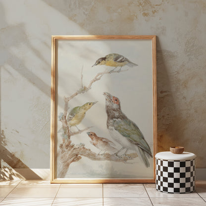 Premium Poster of Beautiful Artistic Birds on Branch Illustration Posters