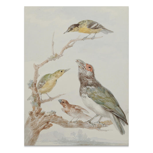 Premium Poster of Beautiful Artistic Birds on Branch Illustration Posters